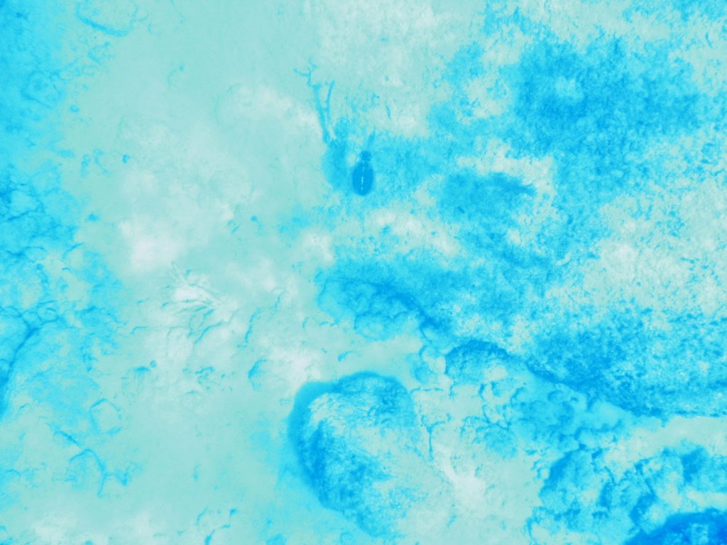 photo6.jpg