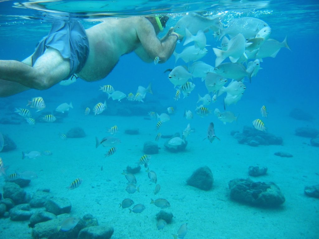 snorkling1.jpg