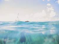 snorkling12_small.jpg