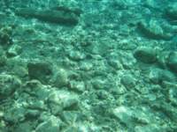 snorkling13_small.jpg