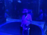 img_0407_small.jpg
