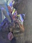 pxl_20250819_161804708_small.jpg