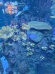 pxl_20250819_163615192_small.jpg