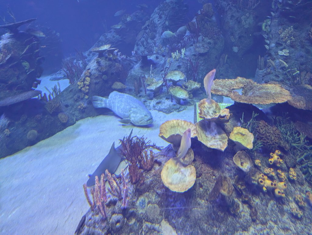 pxl_20250819_163734165.jpg