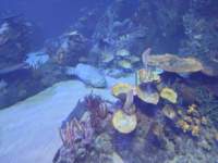 pxl_20250819_163734165_small.jpg