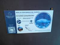 pxl_20250819_163919076_small.jpg