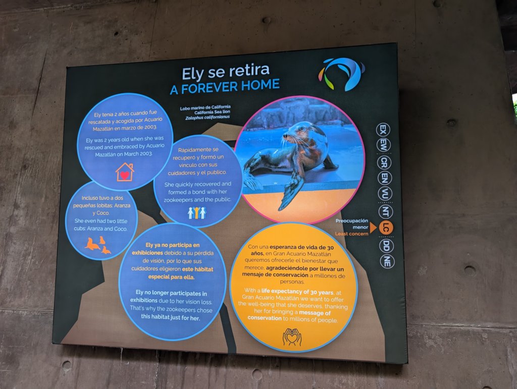 pxl_20250819_165241641.jpg