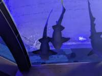 pxl_20250819_172825911_small.jpg
