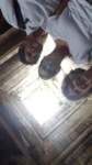 fb_img_1571661753197_small.jpg