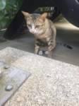 fb_img_1571828456693_small.jpg