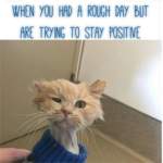 fb_img_1572261067645_small.jpg