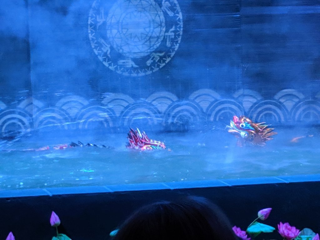 img_00000_burst20191014160605347_cover.jpg