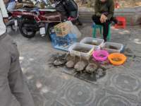 img_20191014_095628_small.jpg