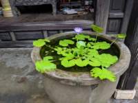 img_20191015_101404_small.jpg