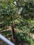 img_20191018_112704_small.jpg