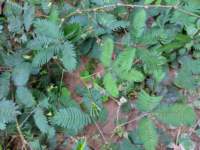 img_20191019_153845_small.jpg