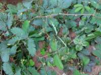 img_20191019_153852_small.jpg