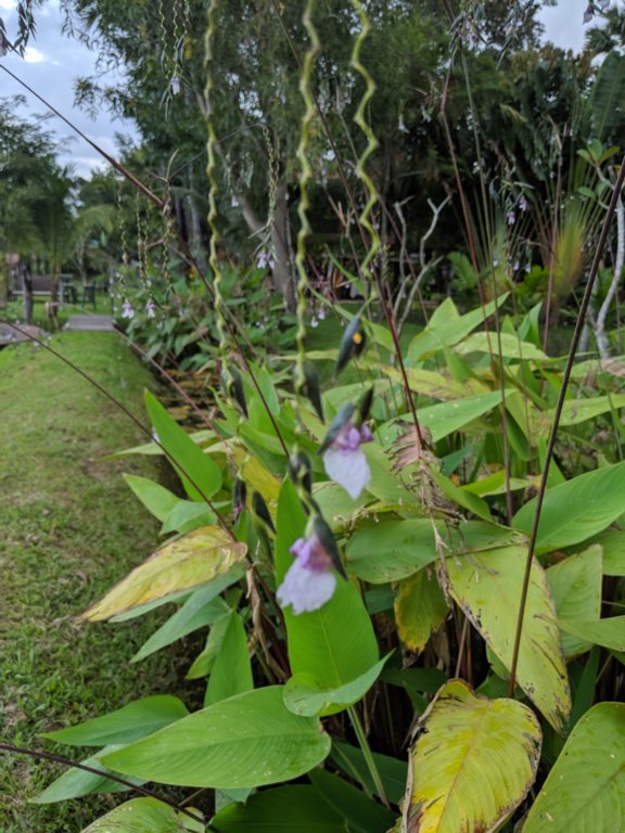 img_20191019_162545.jpg