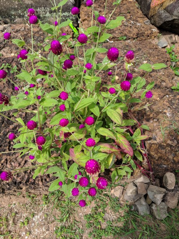 img_20191021_100918.jpg