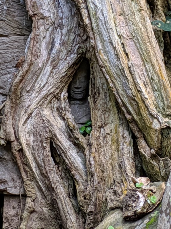 img_20191021_105416.jpg