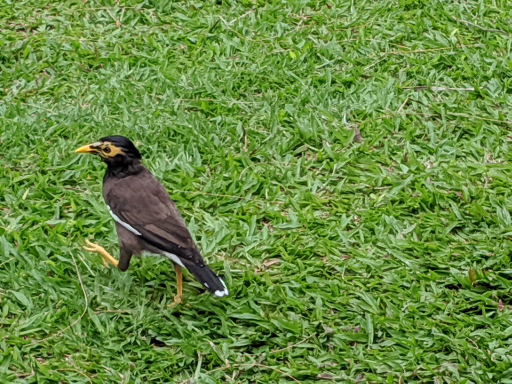 img_20191023_125048.jpg