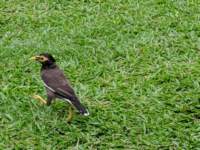 img_20191023_125048_small.jpg