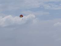 img_20191026_133530_small.jpg