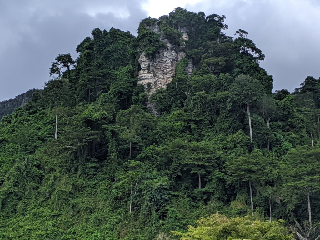 img_20191027_124456.jpg