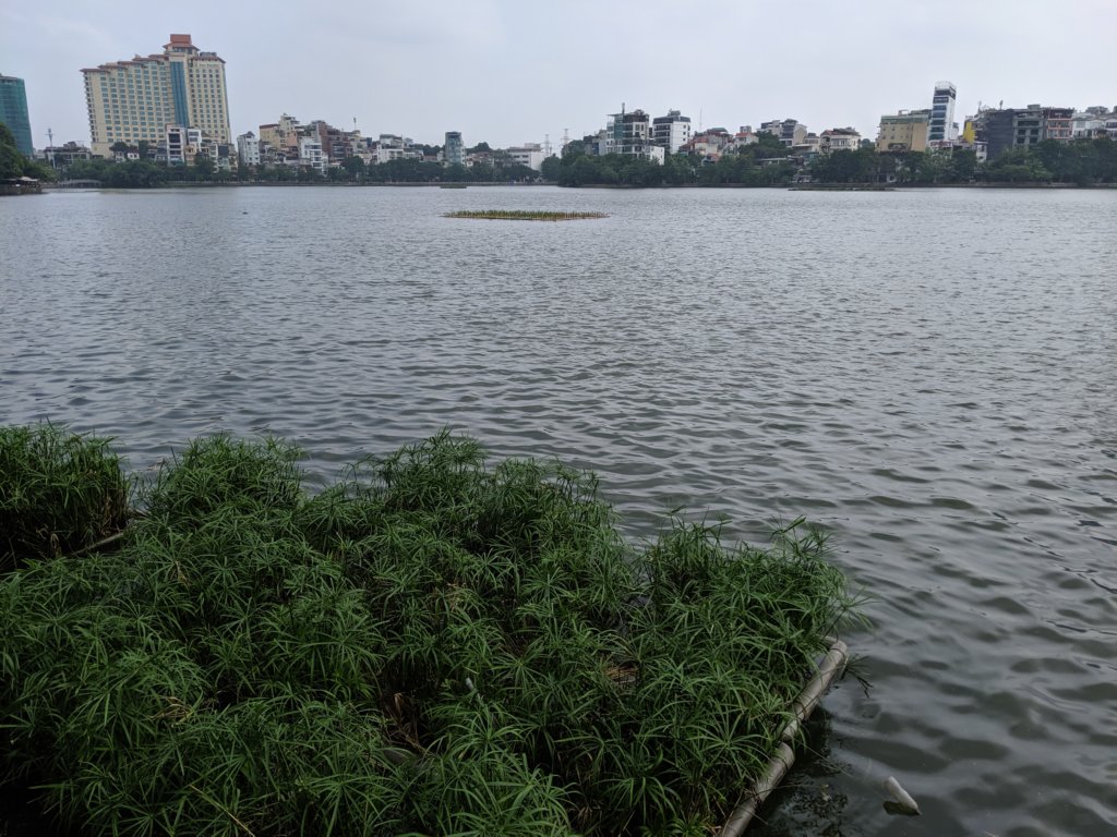 mvimg_20191014_094408.jpg