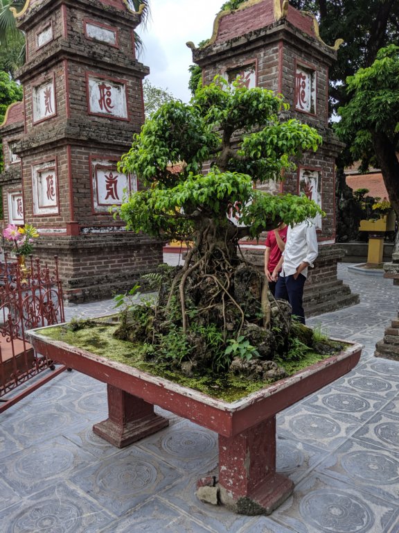 mvimg_20191014_101030.jpg