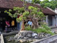 mvimg_20191014_142046_small.jpg