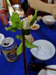 mvimg_20191015_130251_small.jpg