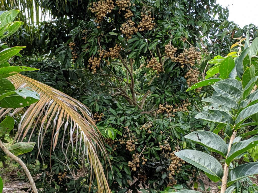 mvimg_20191018_112953.jpg