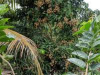 mvimg_20191018_112953_small.jpg