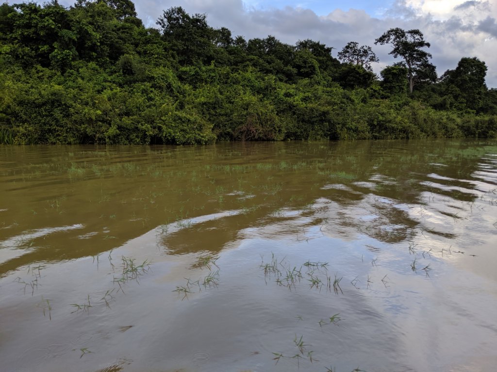 mvimg_20191019_153104.jpg