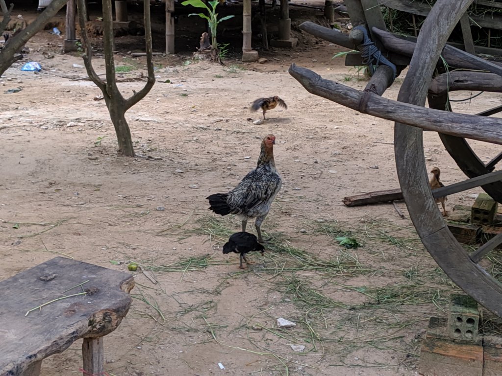 mvimg_20191019_154040.jpg