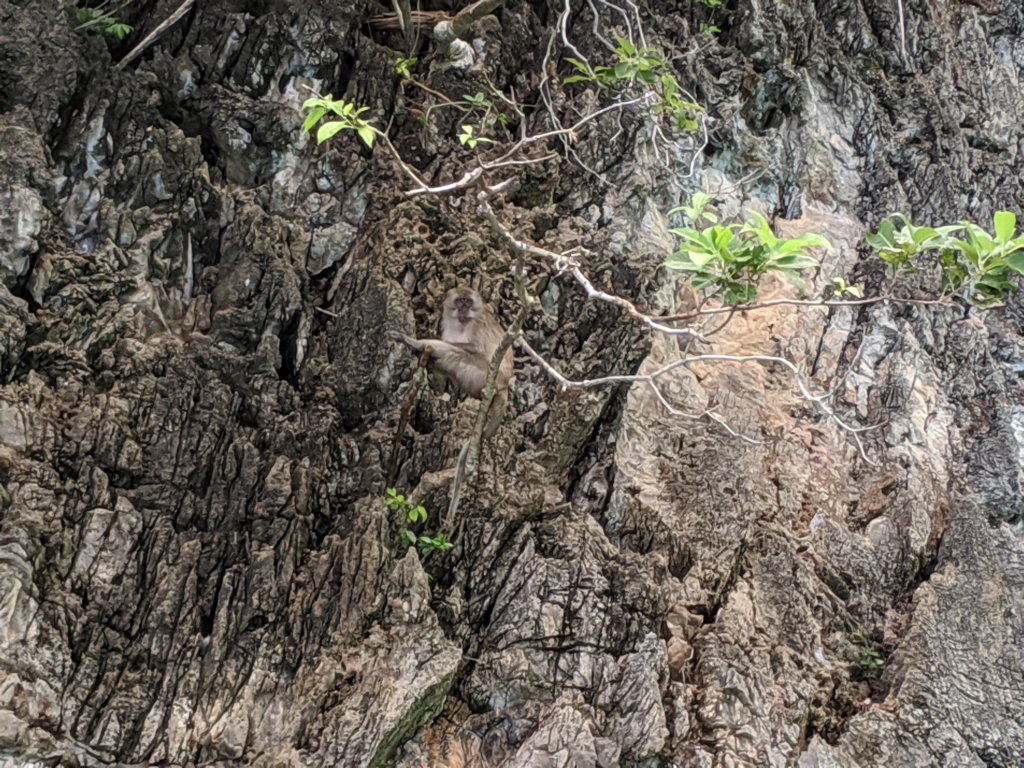 mvimg_20191027_113550.jpg