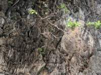 mvimg_20191027_113550_small.jpg