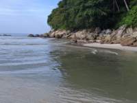 mvimg_20191029_081011_small.jpg