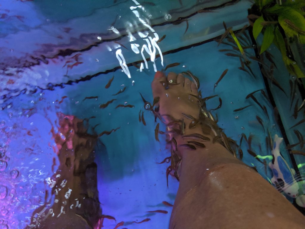 mvimg_20191029_204531.jpg