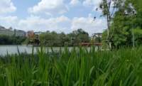 pano_20191011_132522vr_small.jpg
