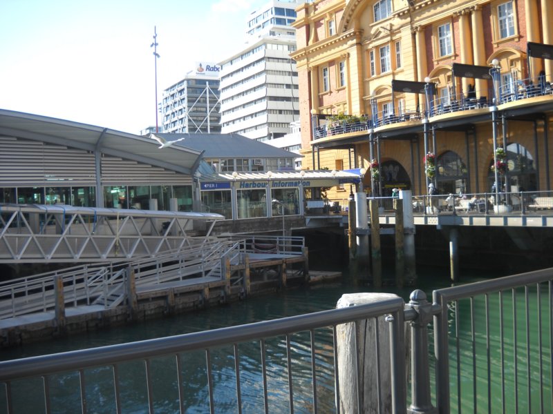 aucklandharbor.jpg