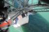 bungee5_small.jpg