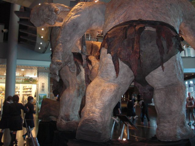 cimg2008.jpg