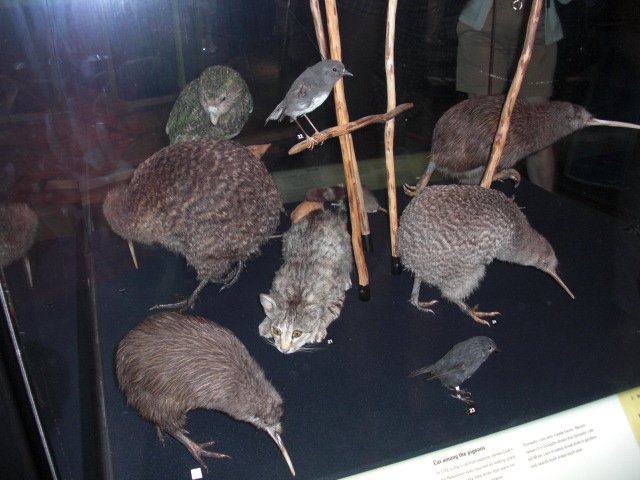 cimg2009.jpg