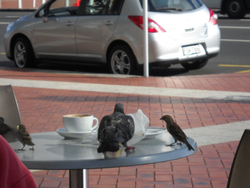 dscn2989.jpg