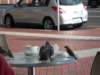 dscn2989_small.jpg