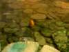 dscn3080_small.jpg