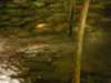 dscn3084_small.jpg