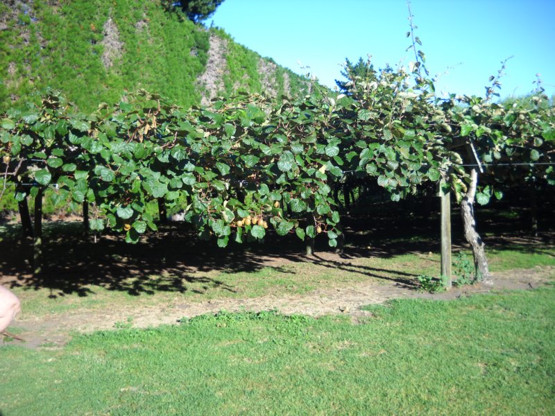 dscn3090.jpg
